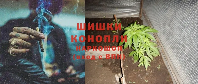 Шишки марихуана LSD WEED  где найти   Мичуринск 